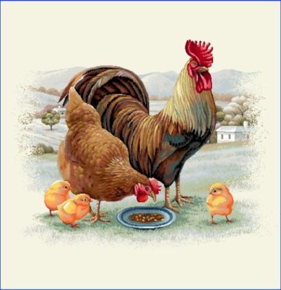 Калъфка за декоративна възглавница 45/45 - Петел и кокошка с пиленца